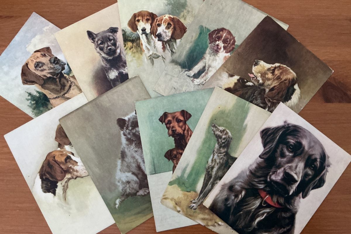 Cigarette posstcards