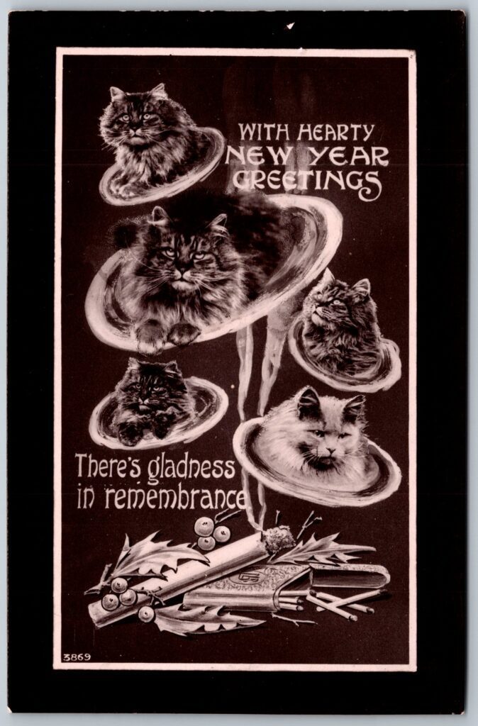 New Year Cat Postcard by Davidson Bros