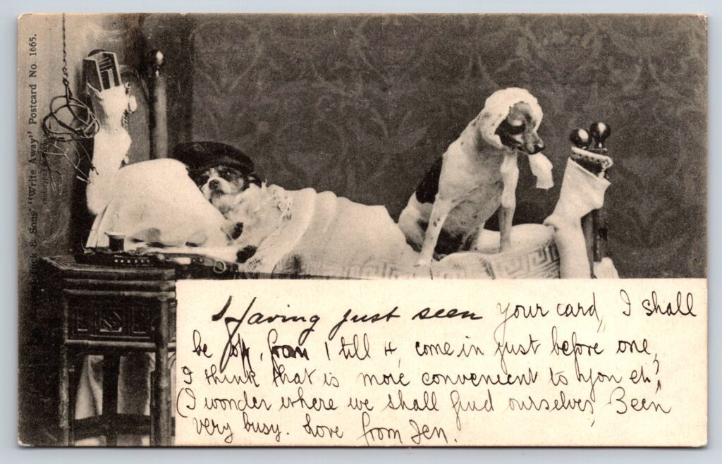 Tucks Postcard of Two Terrier Dogs Ready for Bed Posted 1905