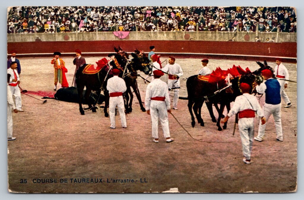 Lévy & Neurdein Bullfighting Postcard