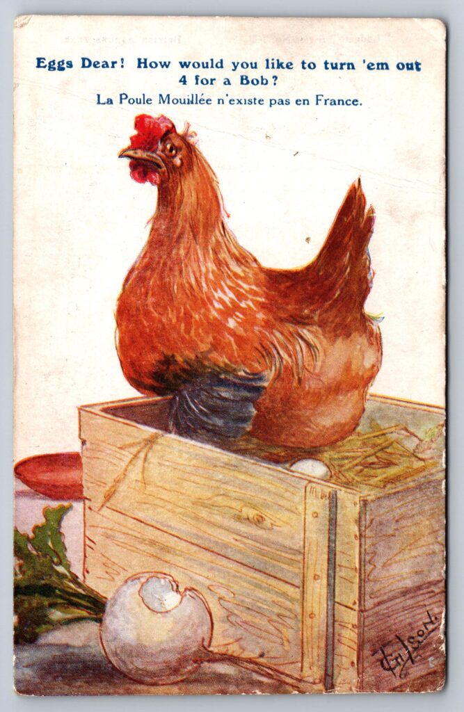 Eggs Dear – A Humorous 1916 Hen Postcard with WWI History