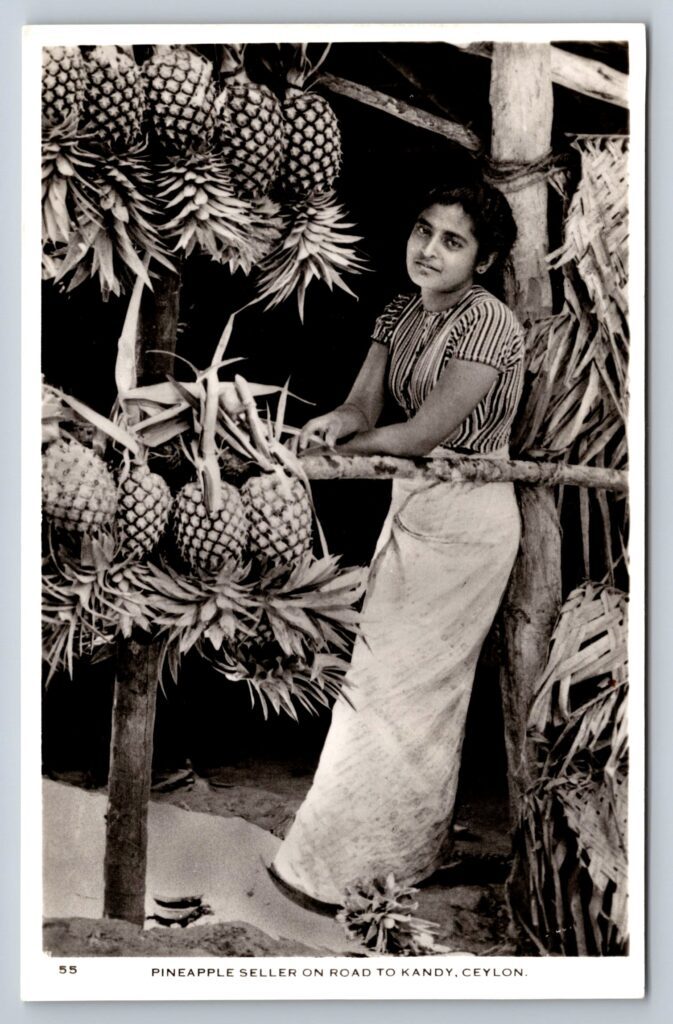 Pineapple seller Ceylon real photo postcard