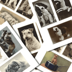 Printable Vintage Dog Postcards - Junk Journal & Ephemera Pack