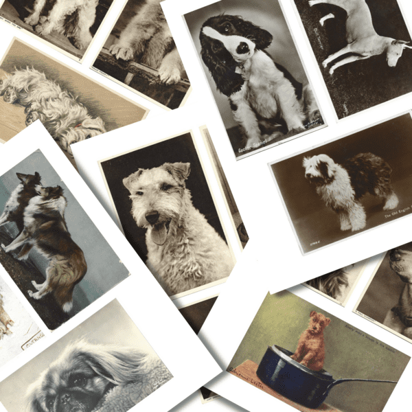 Printable Vintage Dog Postcards - Junk Journal & Ephemera Pack