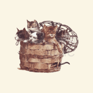 Vintage Kittens in Basket Clipart - Genuine 1905 Postcard PNG